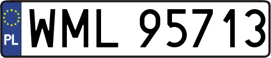 WML95713