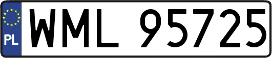 WML95725