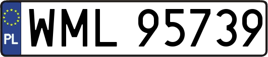 WML95739
