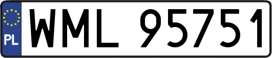 WML95751