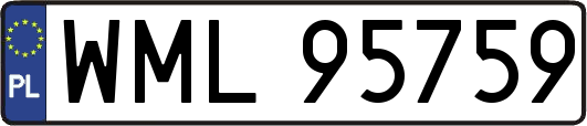 WML95759