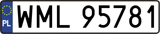 WML95781