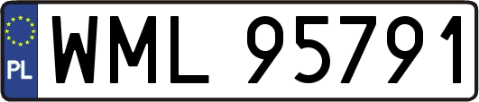 WML95791