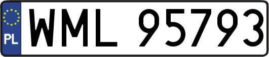 WML95793