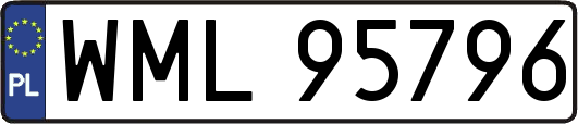 WML95796