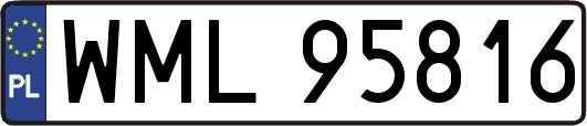 WML95816