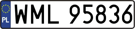 WML95836
