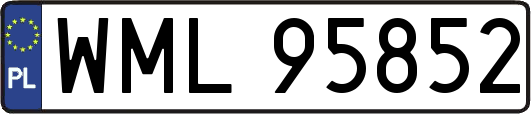 WML95852