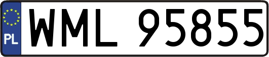 WML95855
