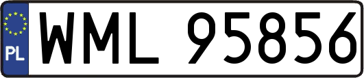 WML95856