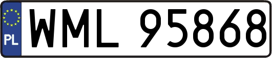 WML95868