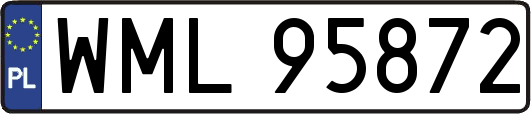 WML95872