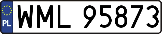 WML95873