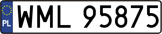 WML95875