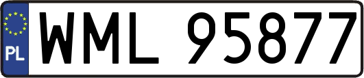 WML95877