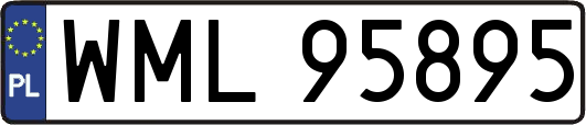 WML95895