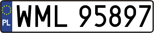 WML95897