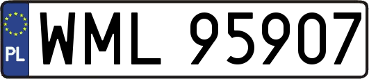 WML95907