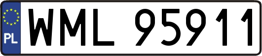 WML95911