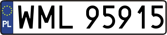 WML95915
