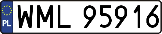 WML95916