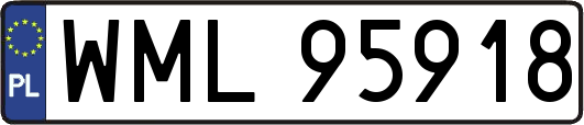 WML95918