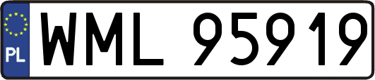 WML95919