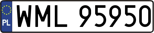 WML95950