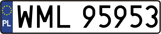WML95953