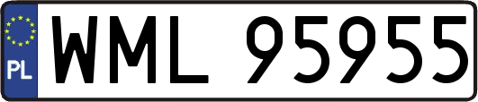 WML95955
