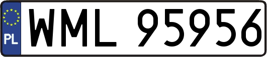 WML95956