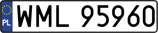 WML95960