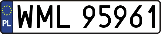 WML95961