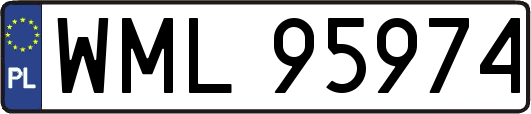 WML95974