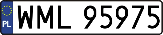 WML95975