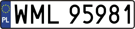 WML95981