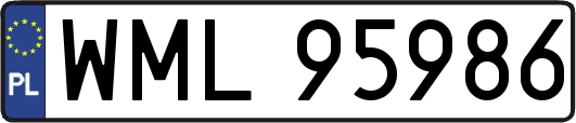 WML95986