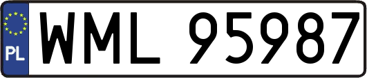 WML95987