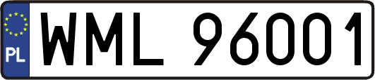 WML96001