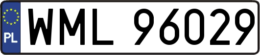WML96029