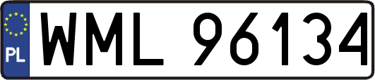 WML96134