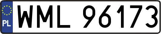 WML96173