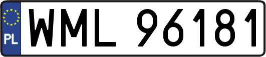 WML96181