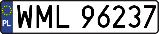 WML96237