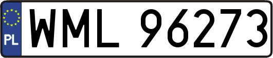 WML96273
