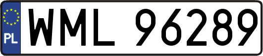 WML96289