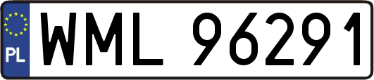 WML96291