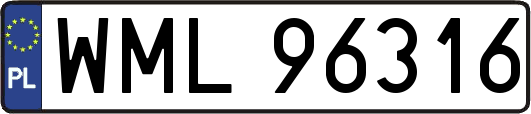 WML96316