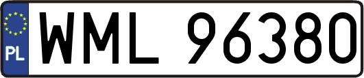 WML96380