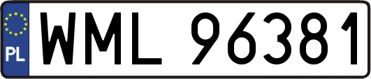 WML96381